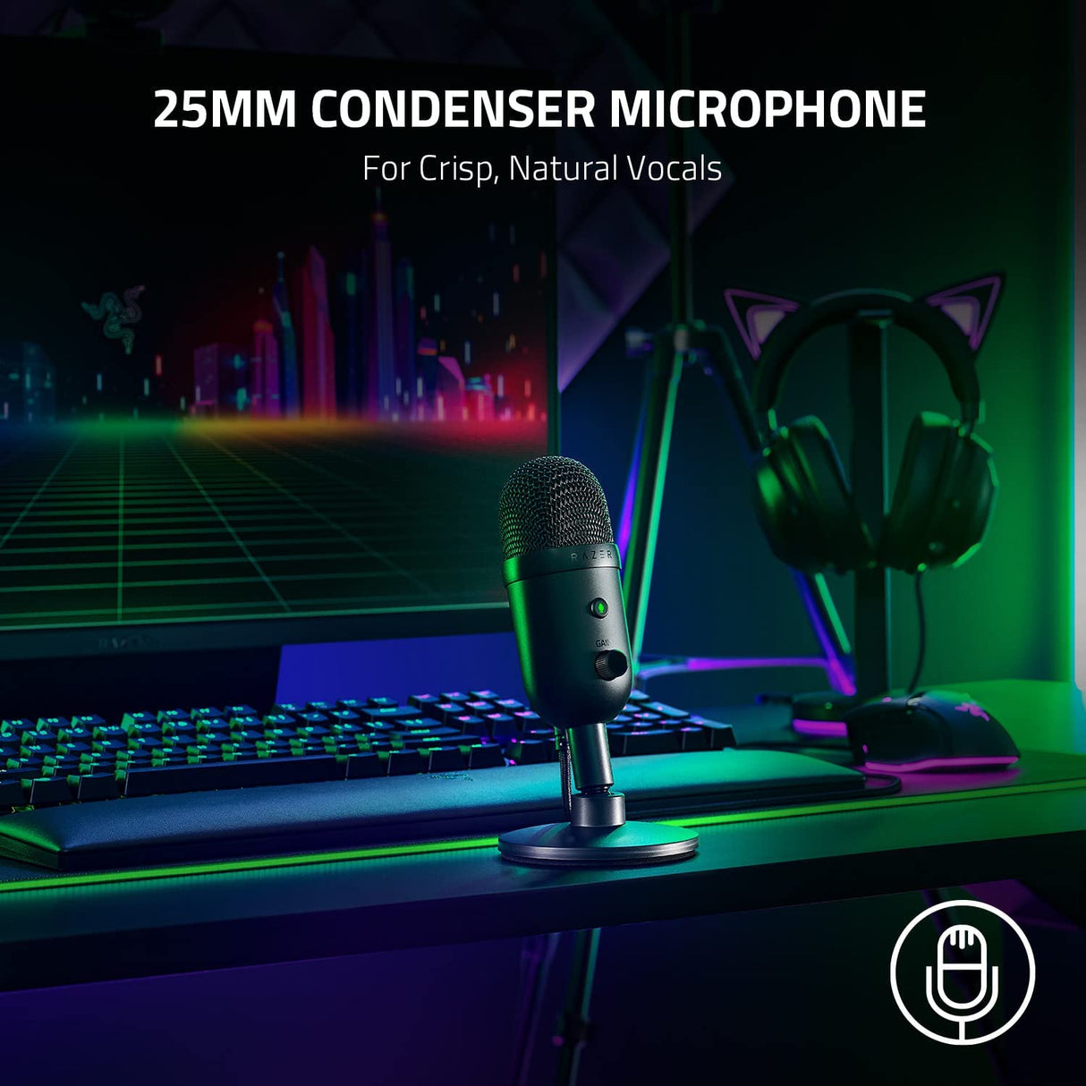 Razer Seiren V2 X USB Condenser Microphone