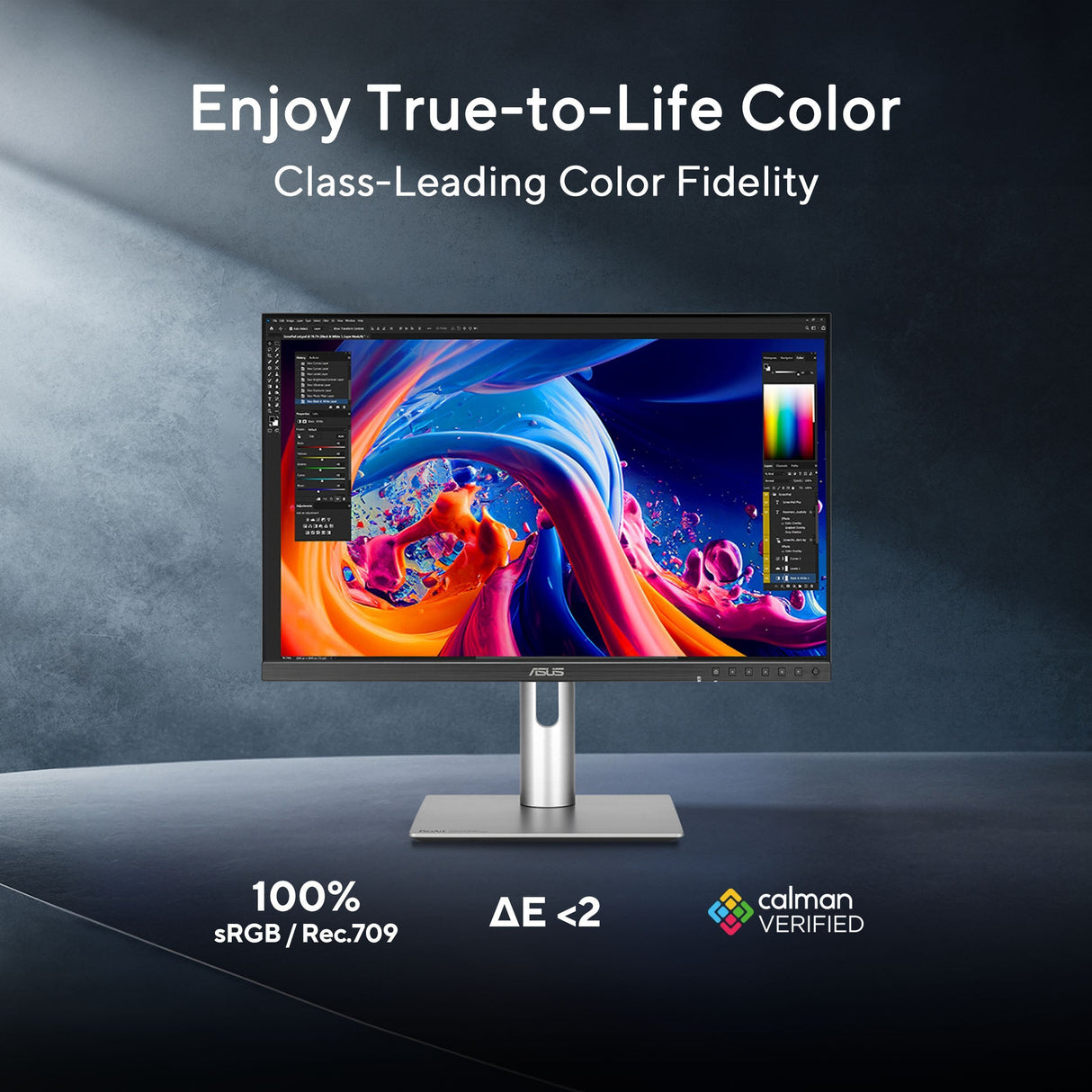 ASUS ProArt Display PA248QFV Gen2 Professional Monitor