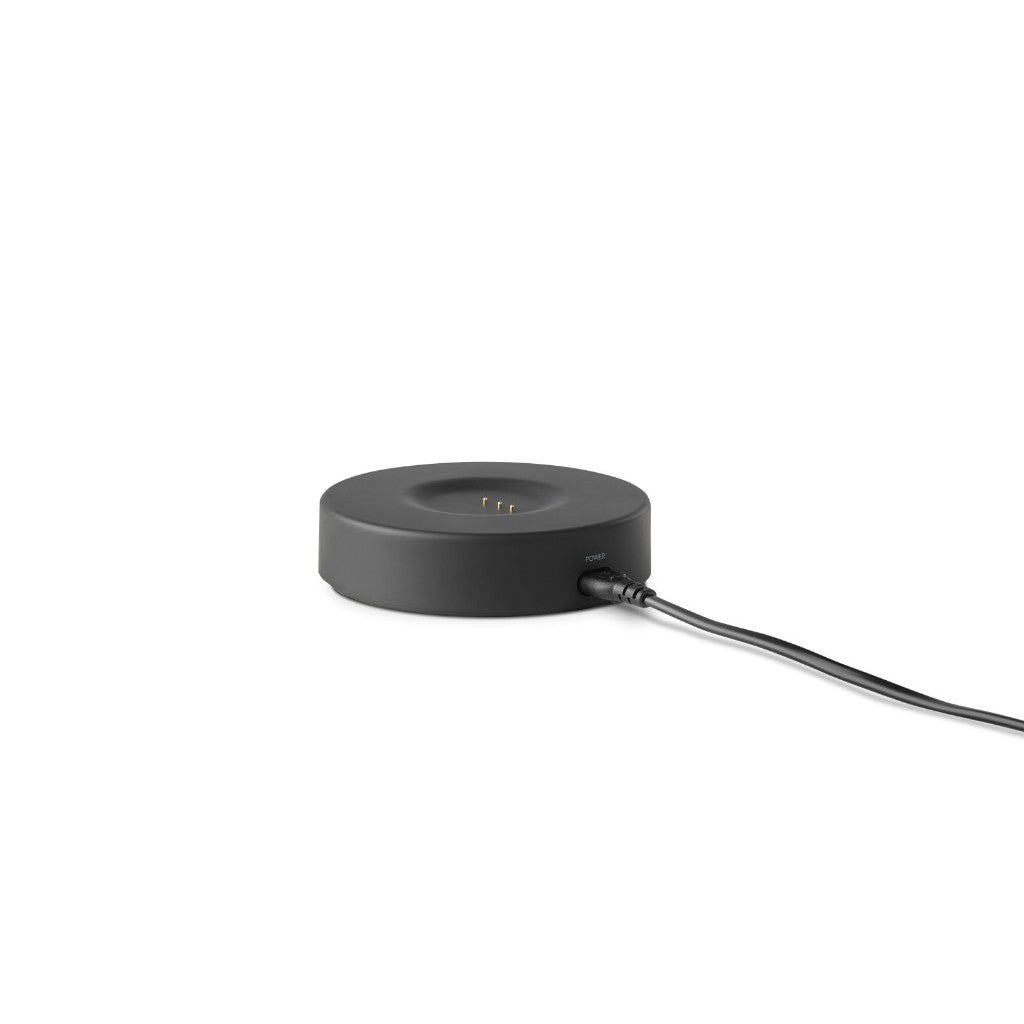 Harman Kardon Citation 200 Portable Speaker