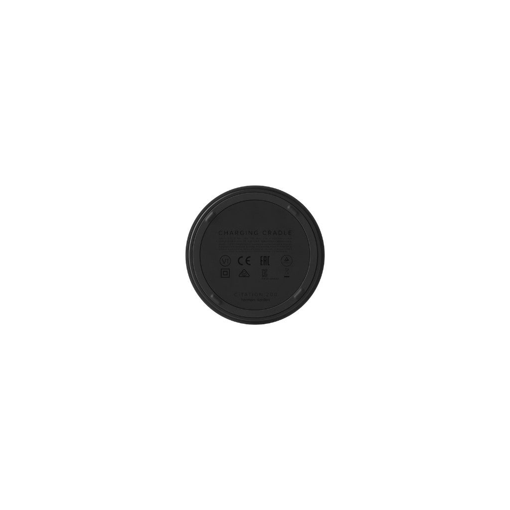Harman Kardon Citation 200 Portable Speaker